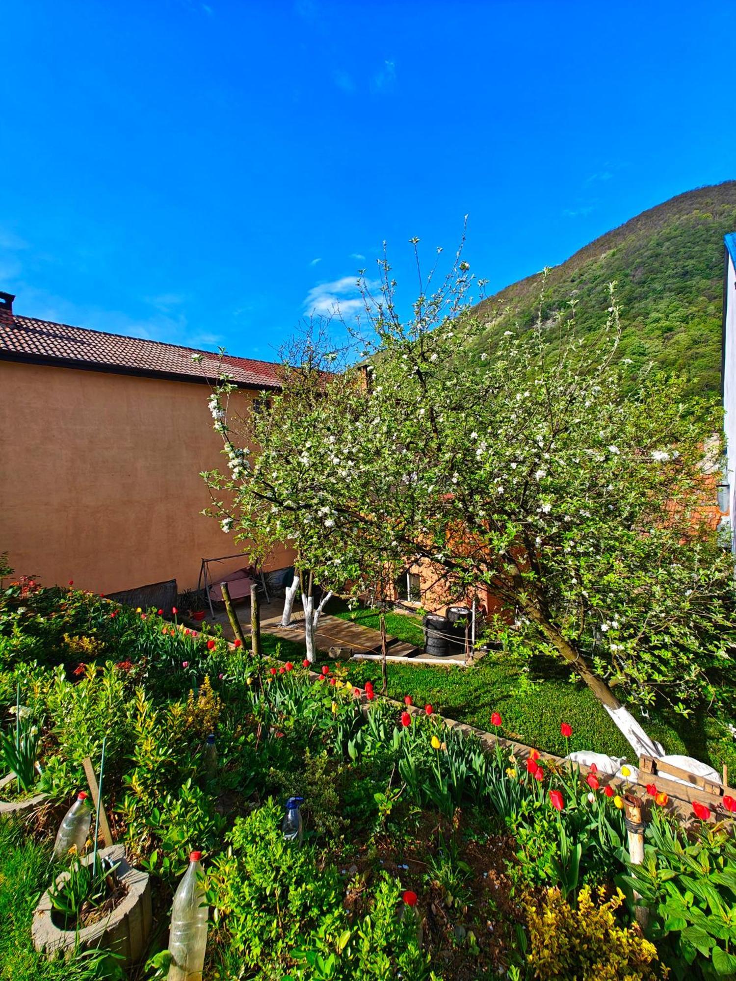 Casa Miclau Apartment Baile Herculane Bagian luar foto