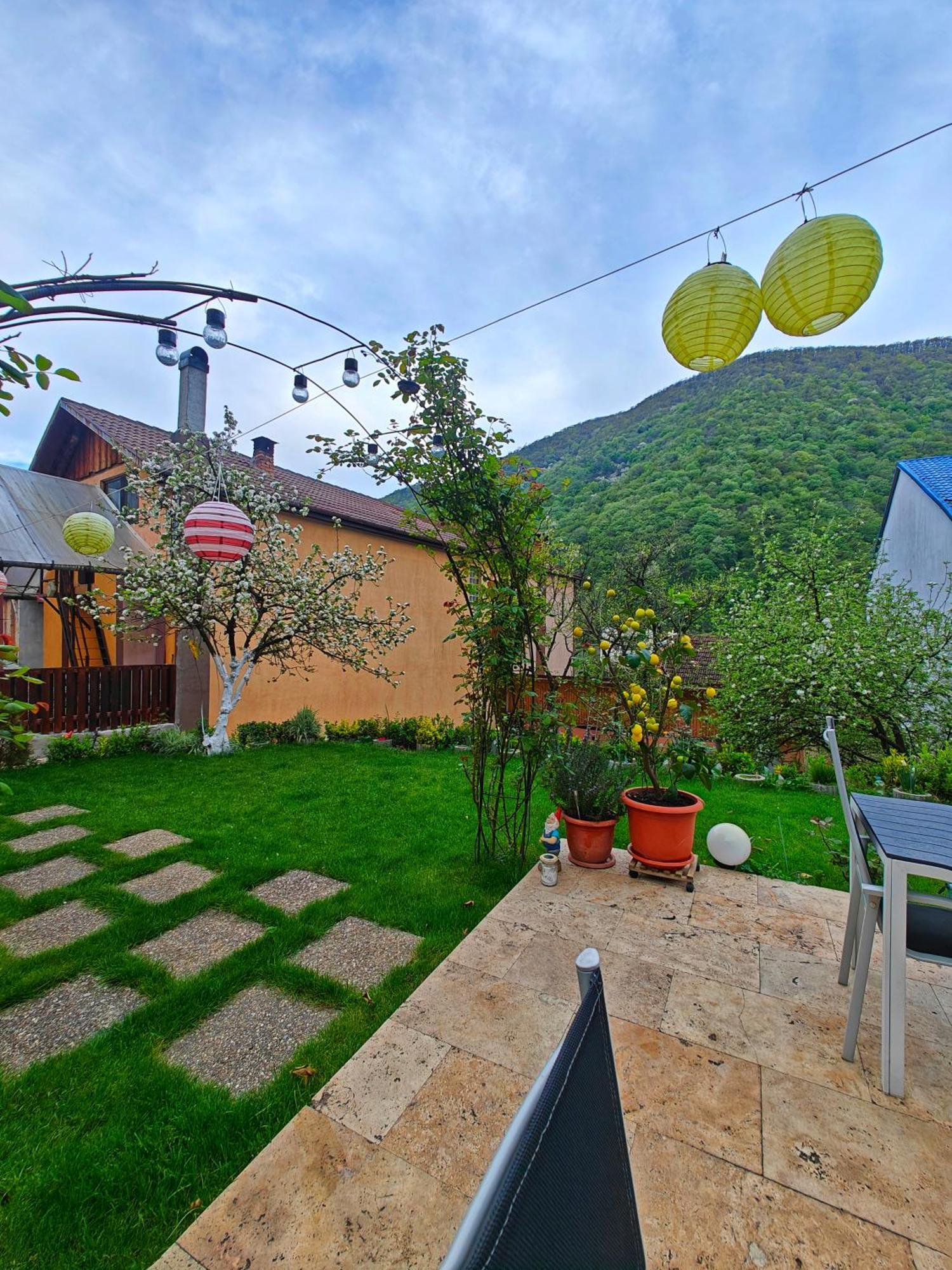 Casa Miclau Apartment Baile Herculane Bagian luar foto