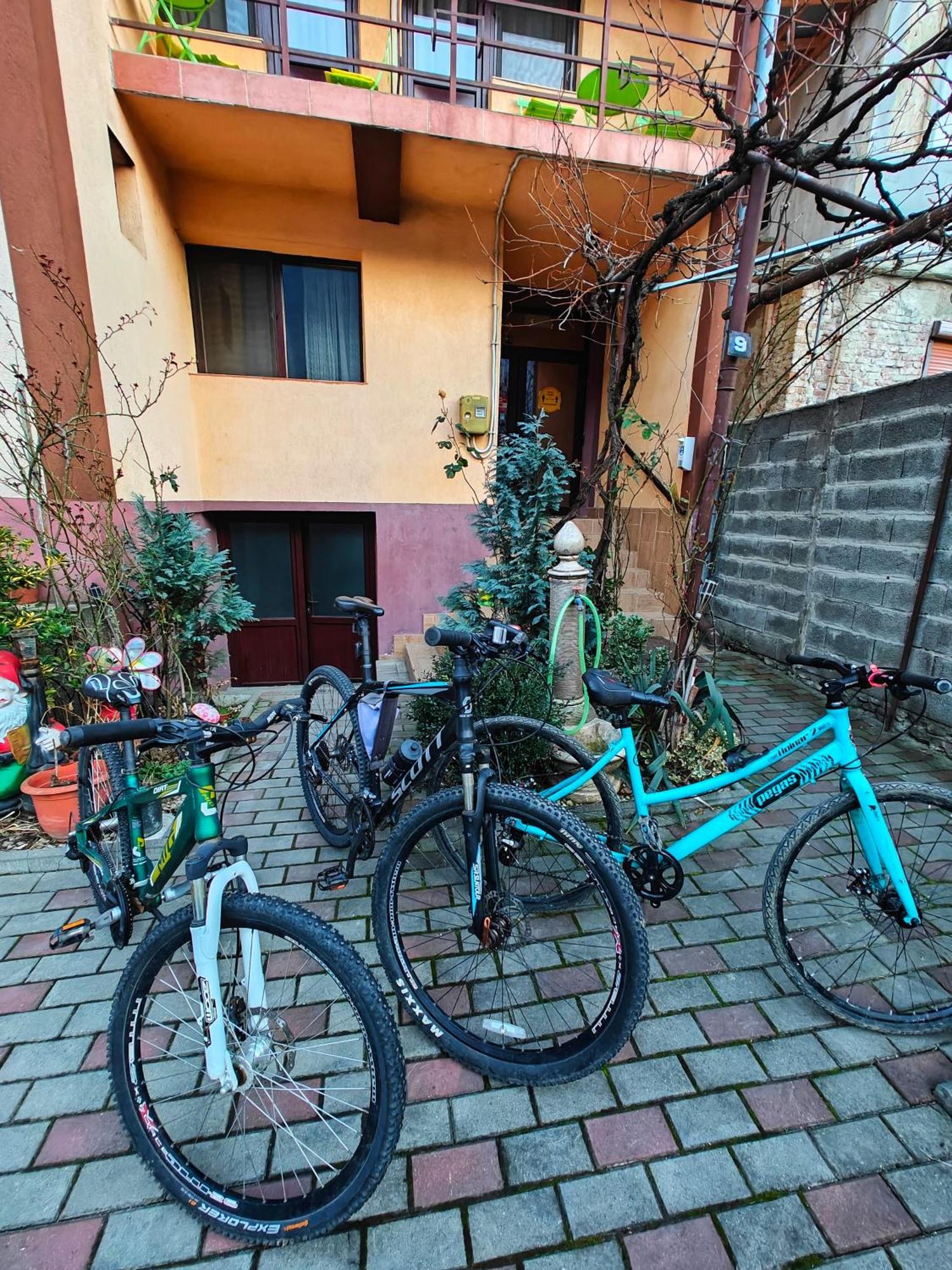 Casa Miclau Apartment Baile Herculane Bagian luar foto