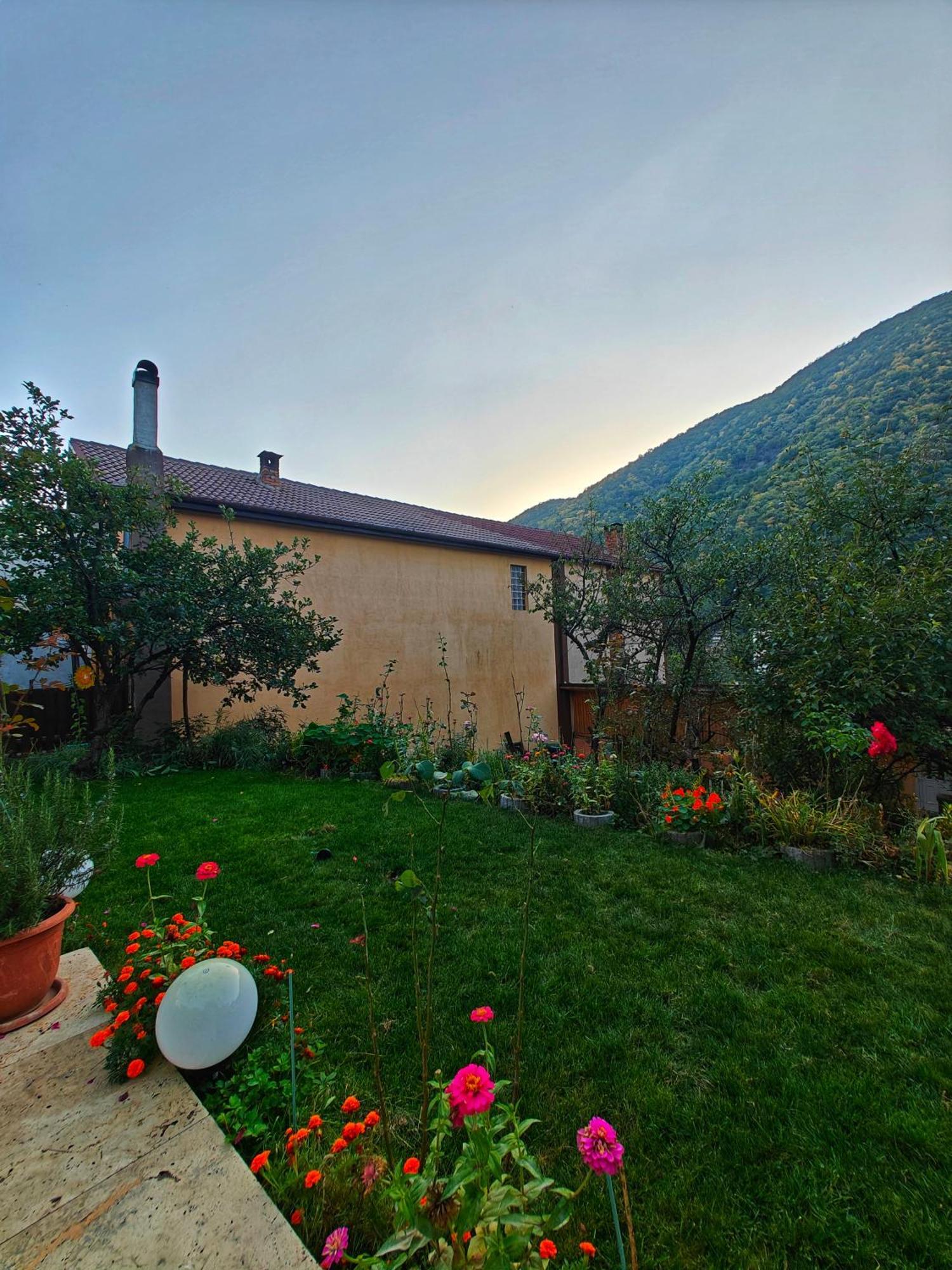 Casa Miclau Apartment Baile Herculane Bagian luar foto